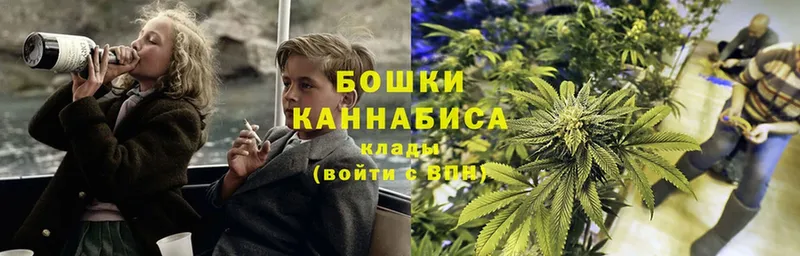 Шишки марихуана Amnesia  Лакинск 